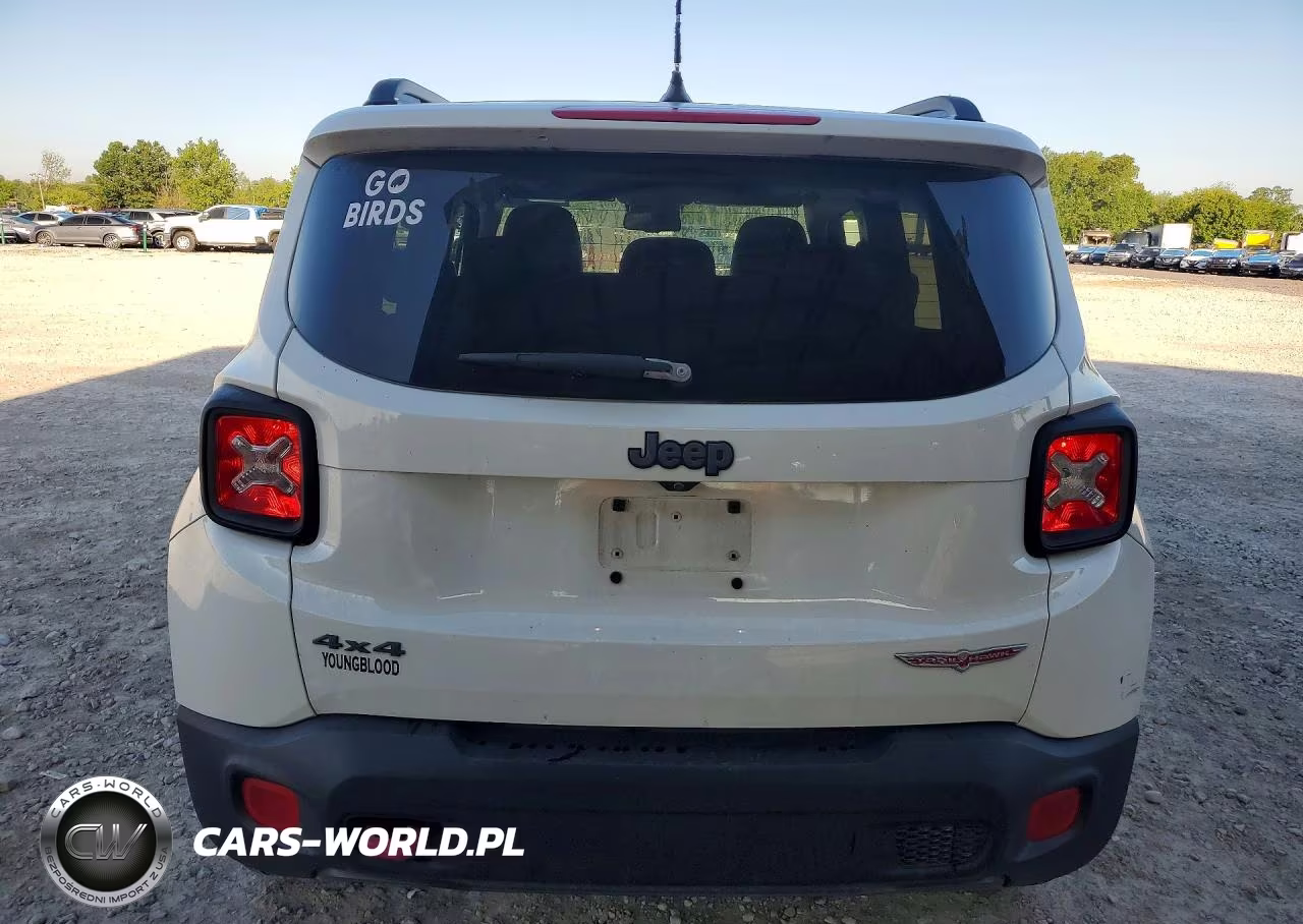 2016 Jeep Renegade Trailhawk VIN:ZACCJBCT7GPE18829 - 6