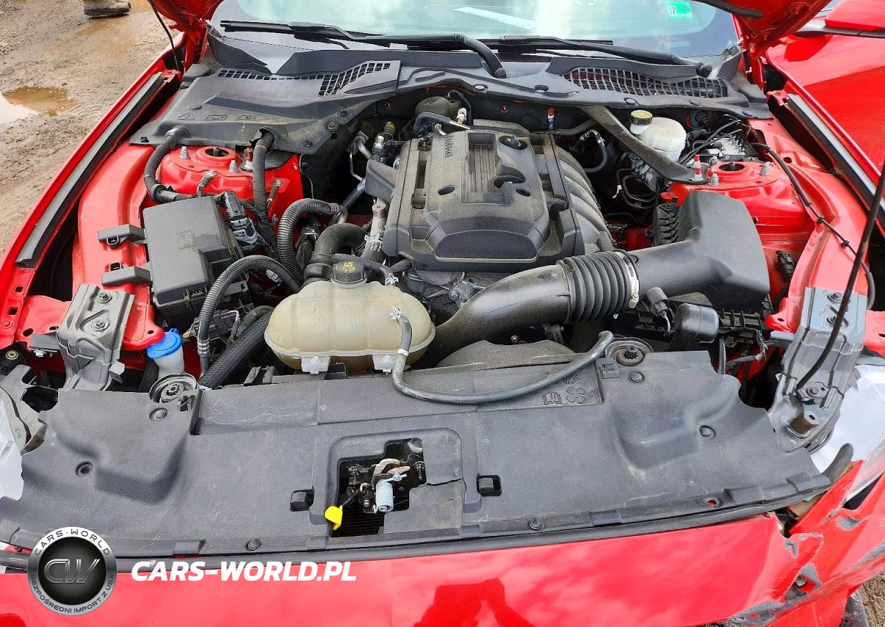 2020 Ford Mustang VIN:1FATP8UH9L5179840 - 11