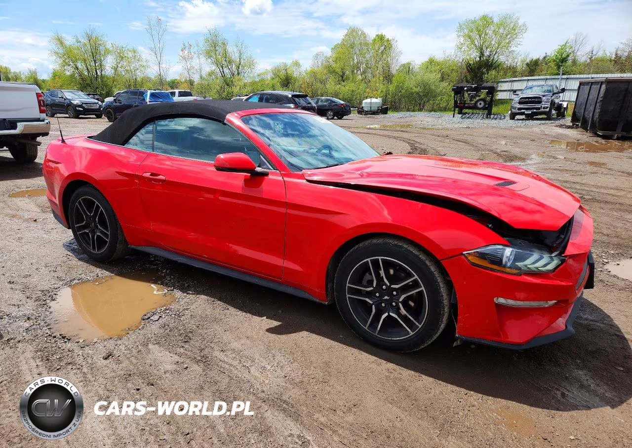 2020 Ford Mustang VIN:1FATP8UH9L5179840 - 4