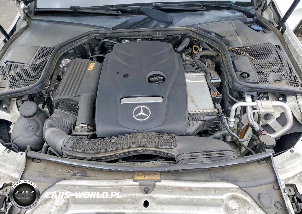 2018 Mercedes-Benz C 300 VIN:55SWF4JB4JU262573 - 11