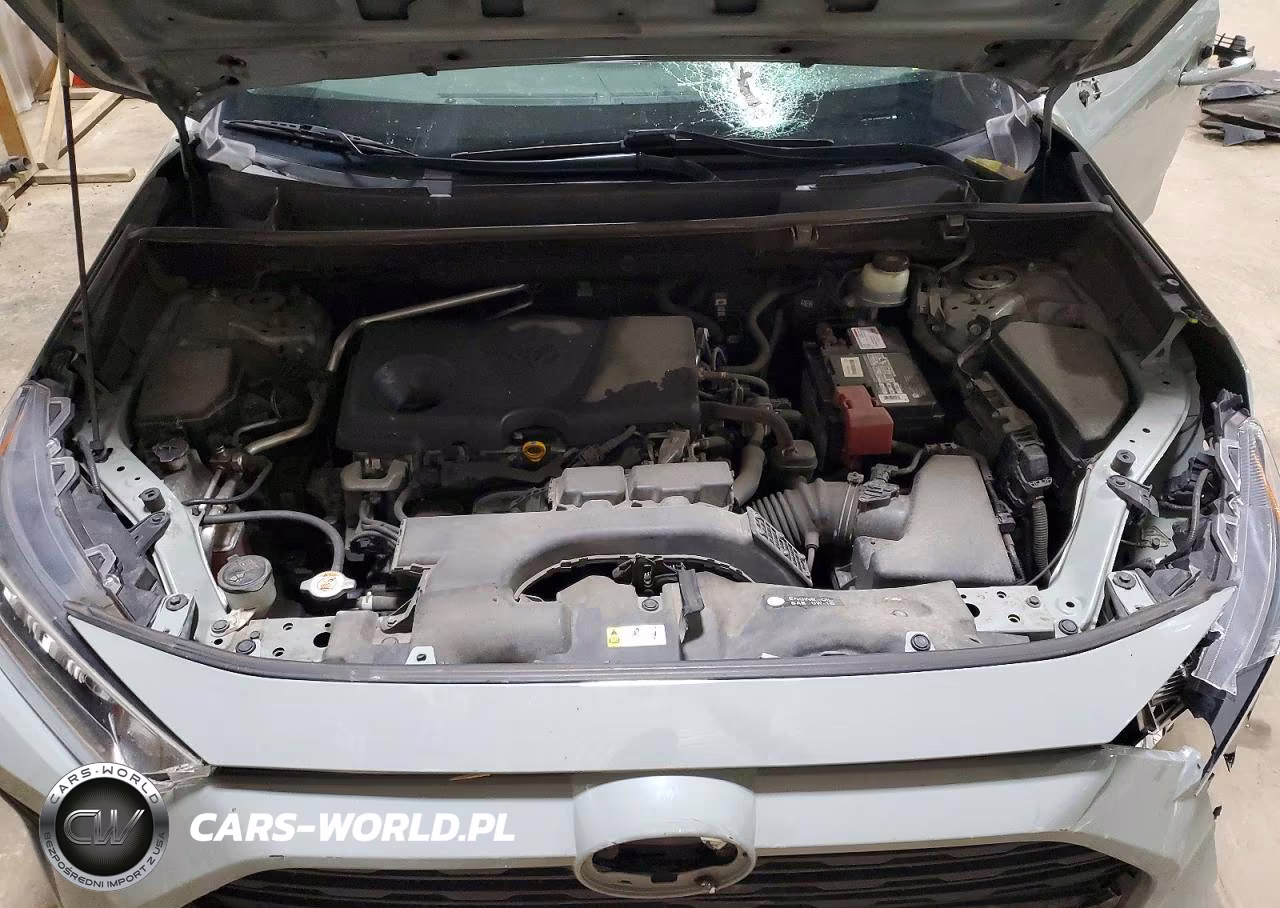 2019 Toyota Rav4 Xle VIN:JTMP1RFVXKD039032 - 12