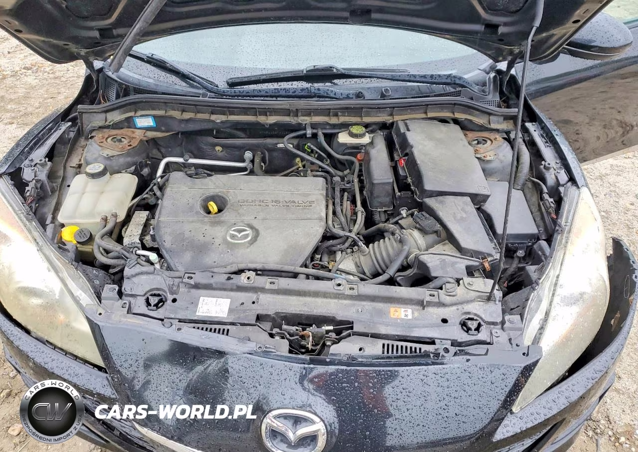 2010 Mazda 3 I VIN:JM1BL1SG7A1136962 - 11
