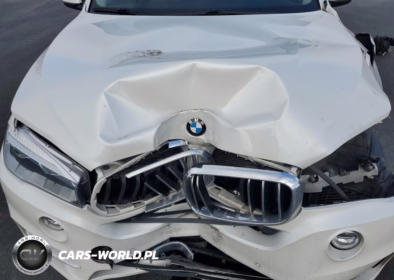 2015 BMW X5 xDrive35I VIN:5UXKR0C53F0K56033 - 12
