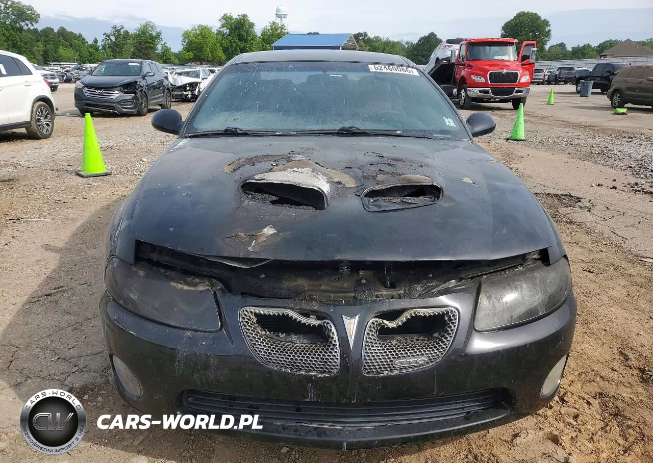 2006 Pontiac Gto VIN:6G2VX12U76L523618 - 5