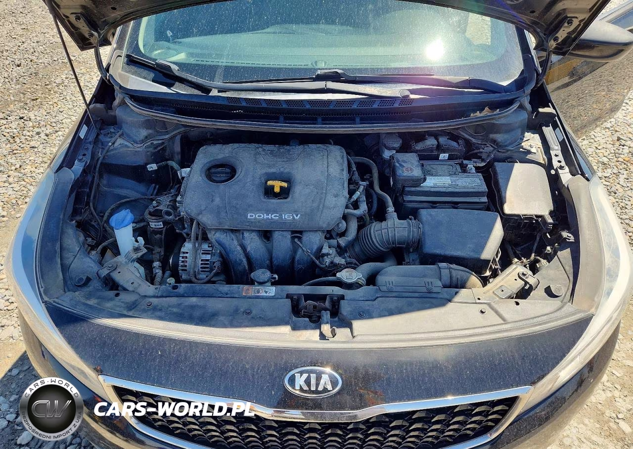 2017 Kia Forte Lx VIN:3KPFK4A76HE093357 - 11