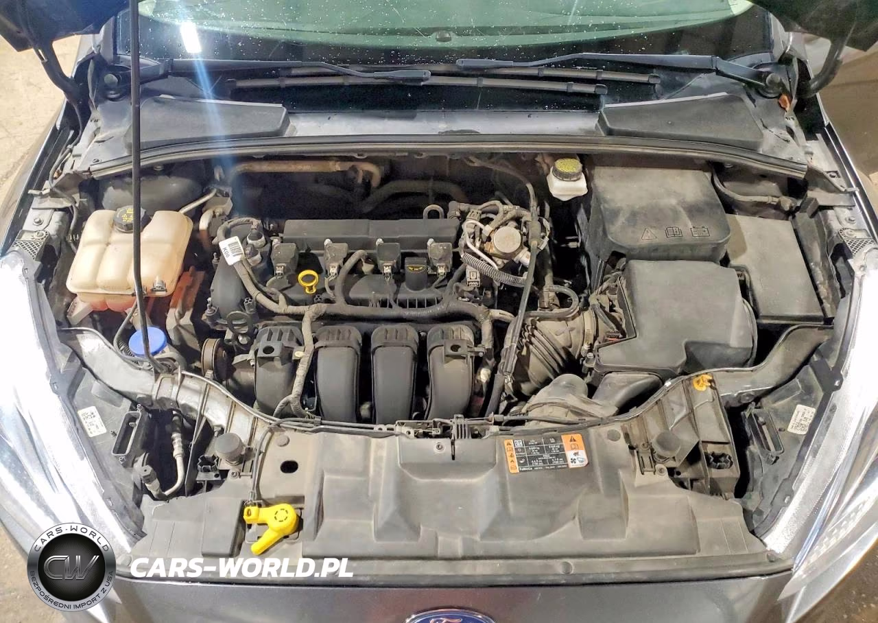 2018 Ford Focus Se VIN:1FADP3F22JL262499 - 11