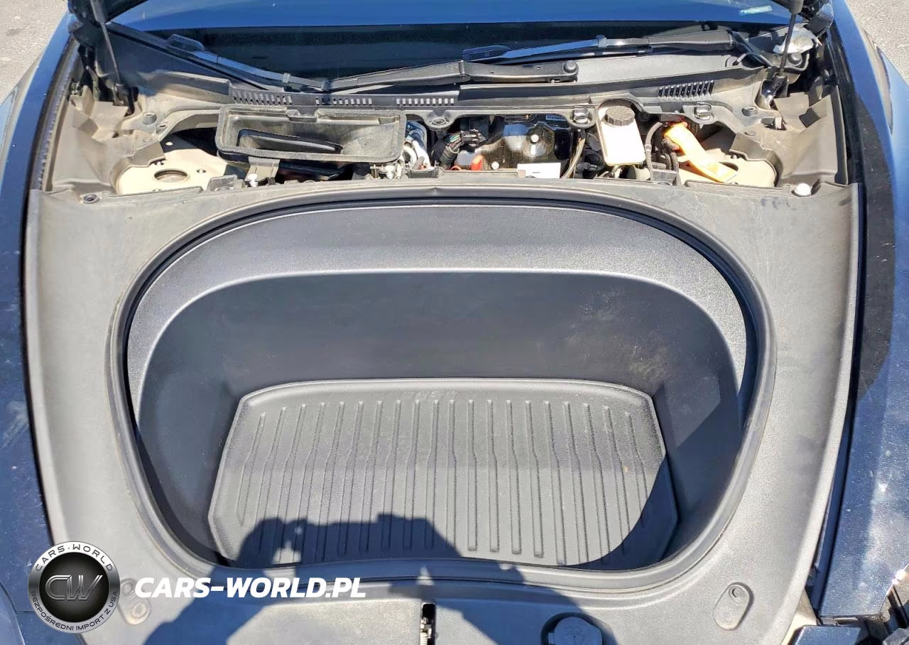 2025 Tesla Model 3 VIN:5YJ3E1EA4SF035215 - 11