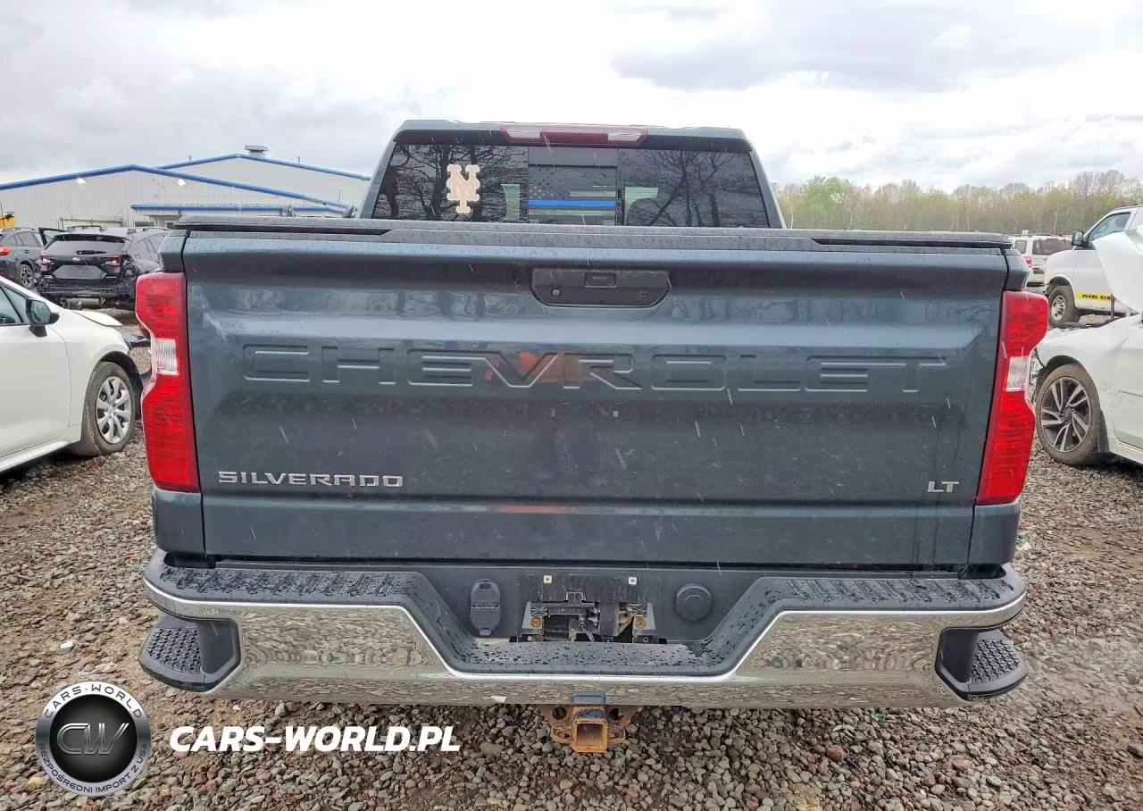 2019 Chevrolet Silverado K1500 Lt VIN:1GCUYDEDXKZ212268 - 6