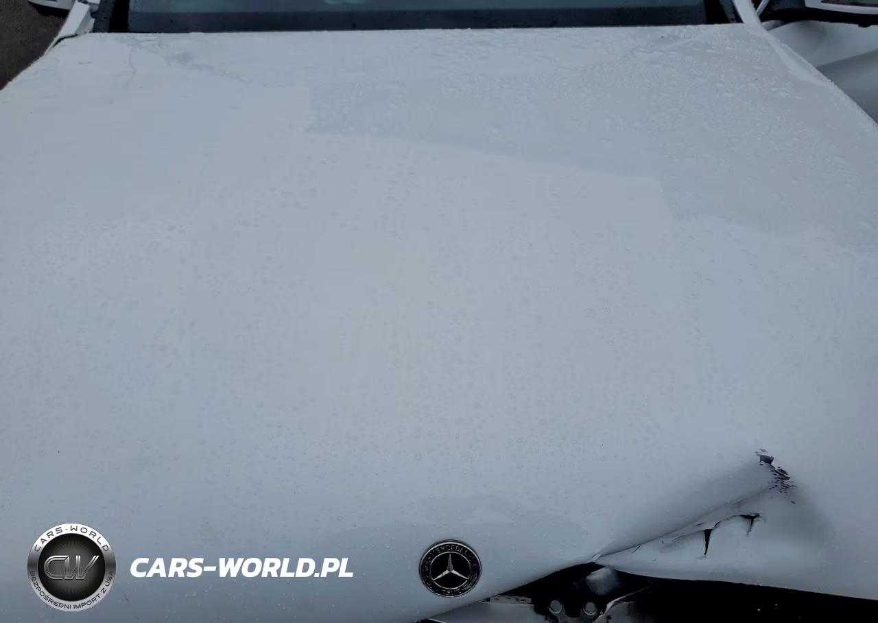 2021 Mercedes-Benz Glc 300 VIN:W1N0G8DB9MV315404 - 12