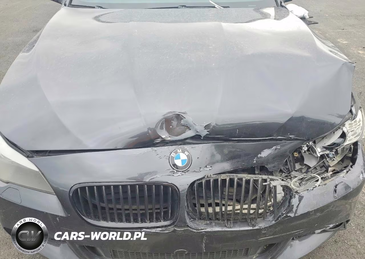2013 BMW 535 I VIN:WBAFR7C54DC827680 - 11