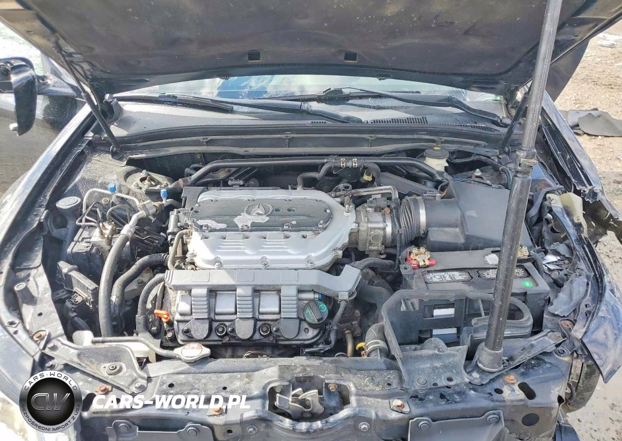2010 Acura Tl VIN:19UUA9F51AA008658 - 11