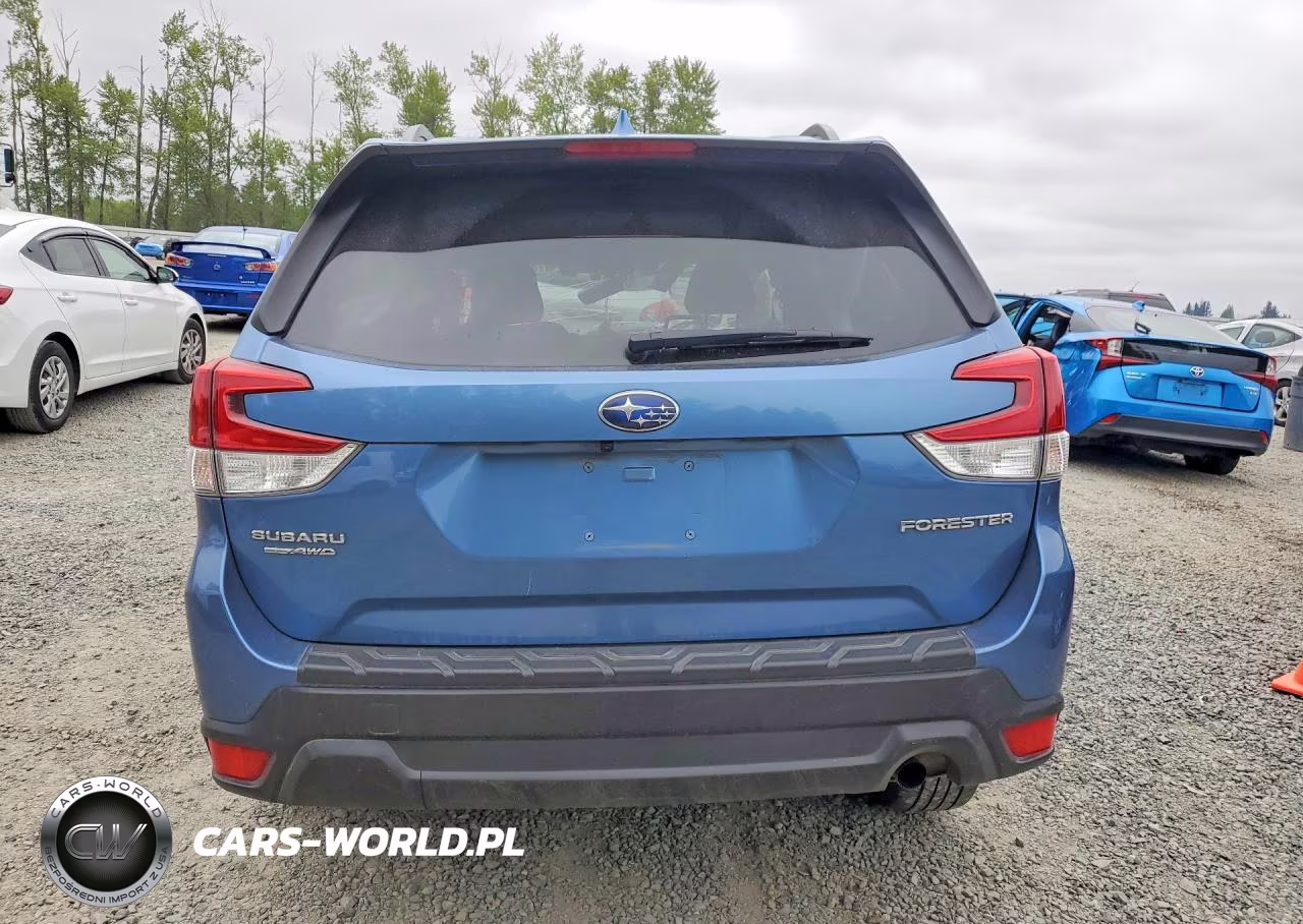 2019 Subaru Forester Premium VIN:JF2SKAEC3KH461548 - 6