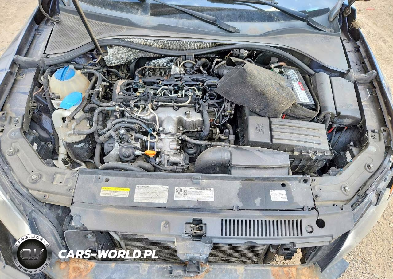 2013 Volkswagen Passat Sel VIN:1VWCN7A38DC138273 - 11