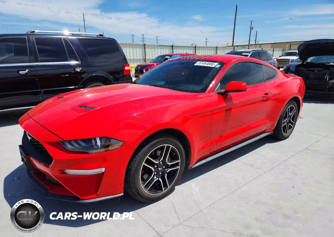 2019 Ford Mustang