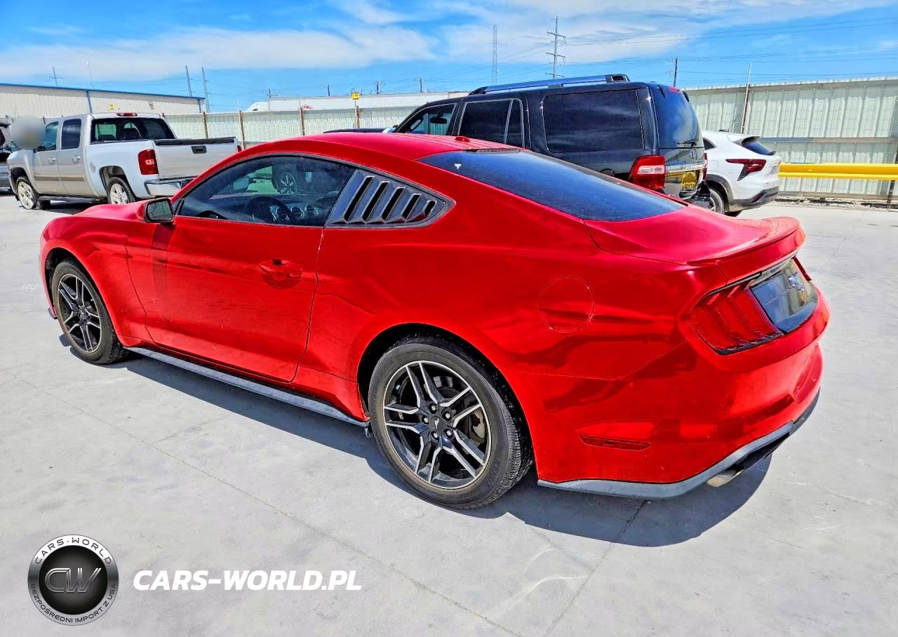 2019 Ford Mustang VIN:1FA6P8TH3K5202011 - 2