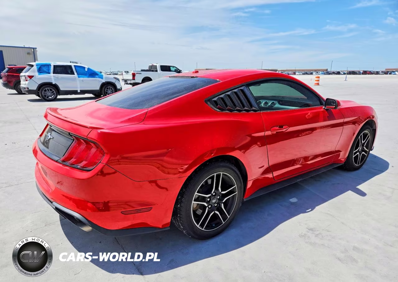 2019 Ford Mustang VIN:1FA6P8TH3K5202011 - 3