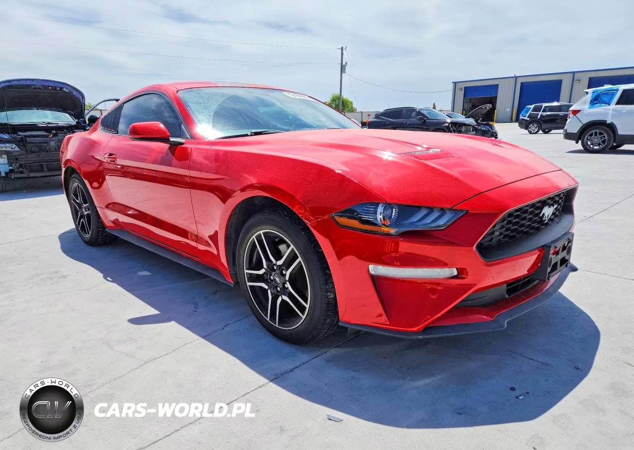 2019 Ford Mustang VIN:1FA6P8TH3K5202011 - 4