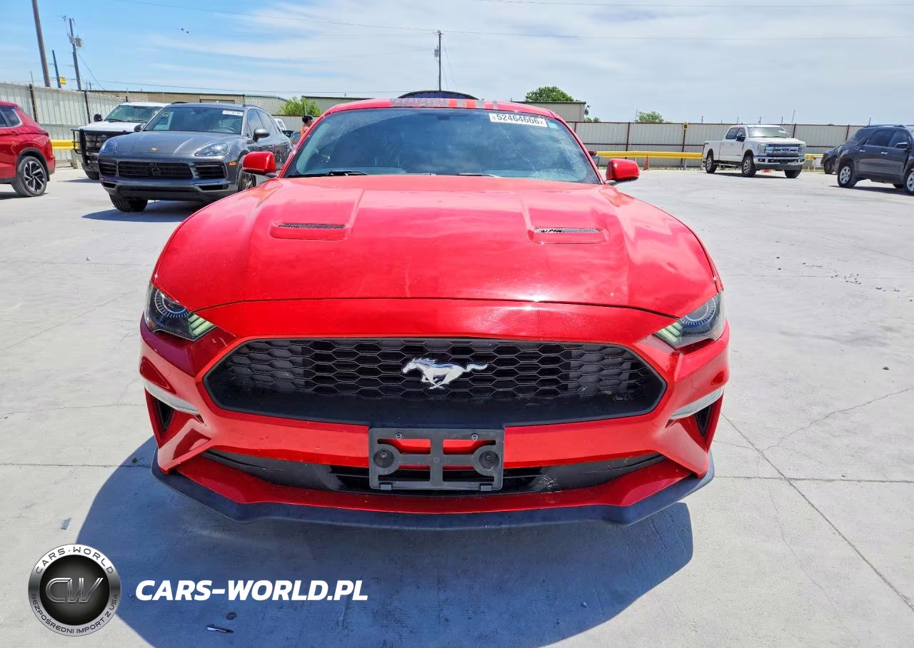 2019 Ford Mustang VIN:1FA6P8TH3K5202011 - 5