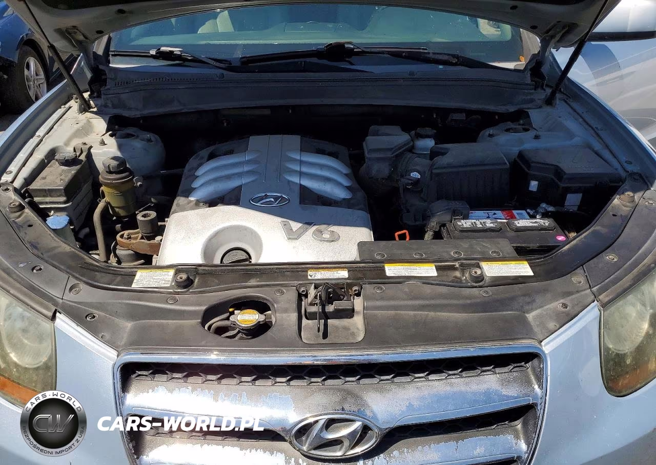 2007 Hyundai Santa Fe Se VIN:5NMSH73E27H000657 - 12