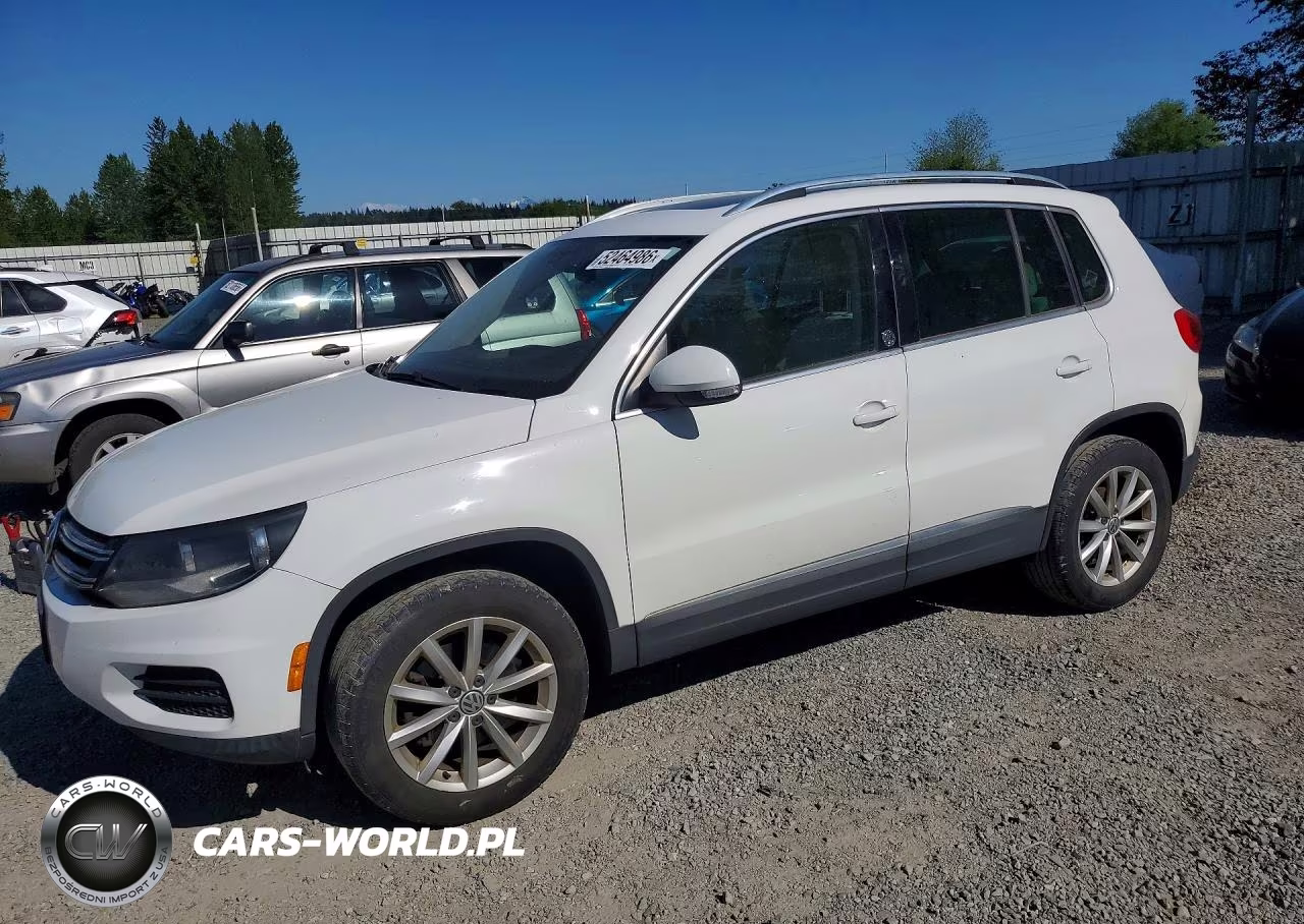 2017 Volkswagen Tiguan Wolfsburg