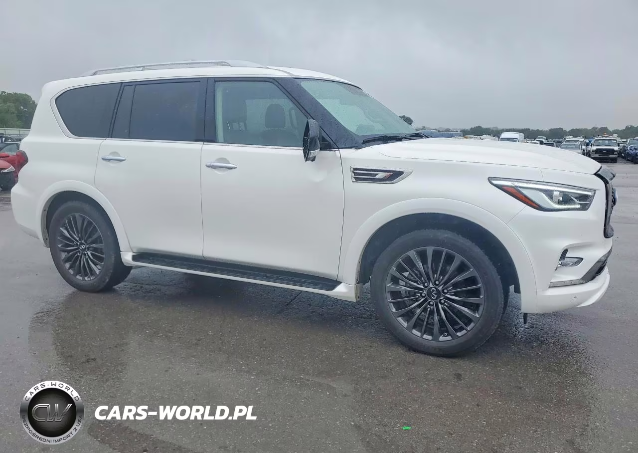 2024 Infiniti Qx80 Luxe VIN:JN8AZ2AE2R9328114 - 4