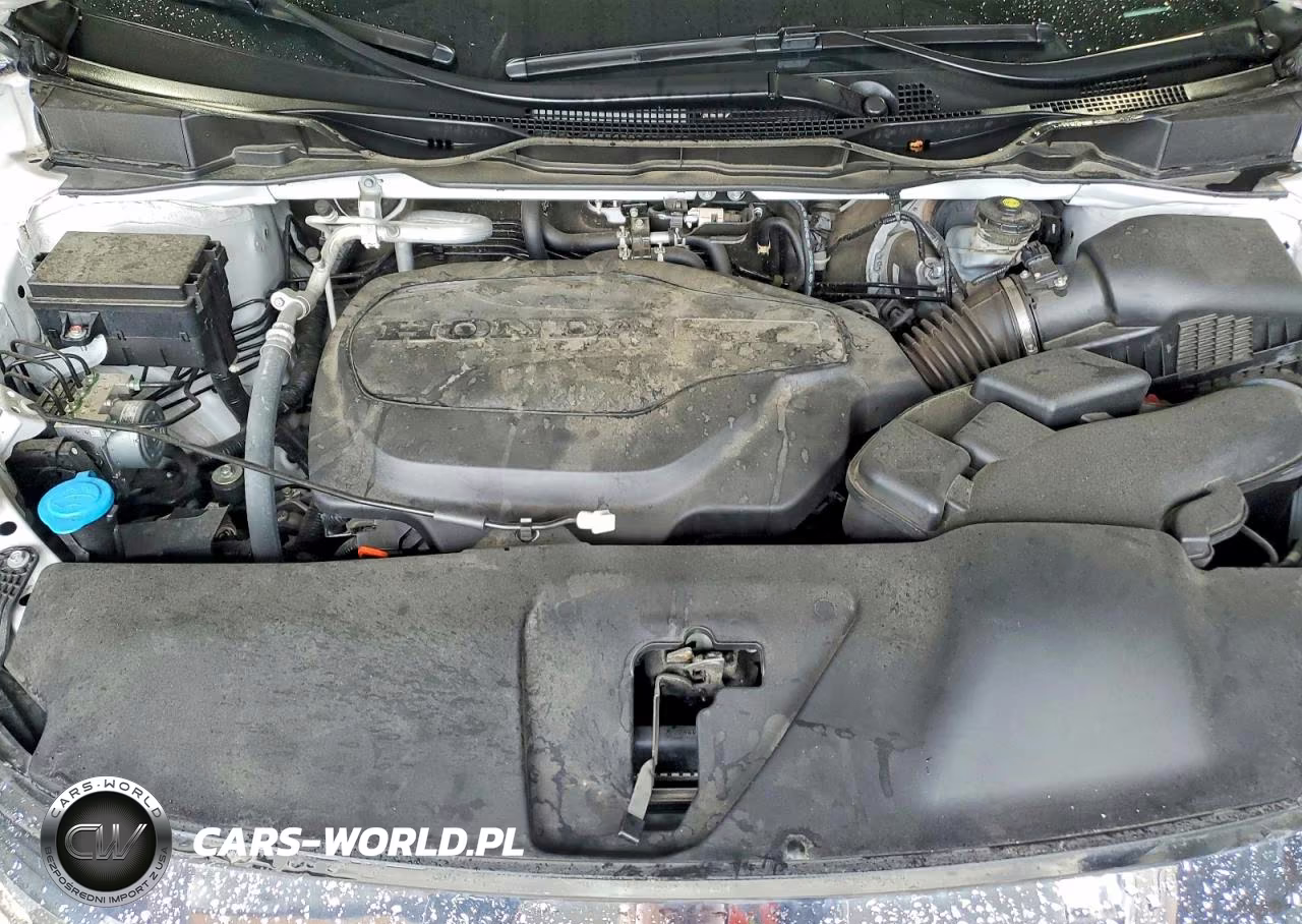 2024 Honda Odyssey Exl VIN:5FNRL6H69RB022202 - 12