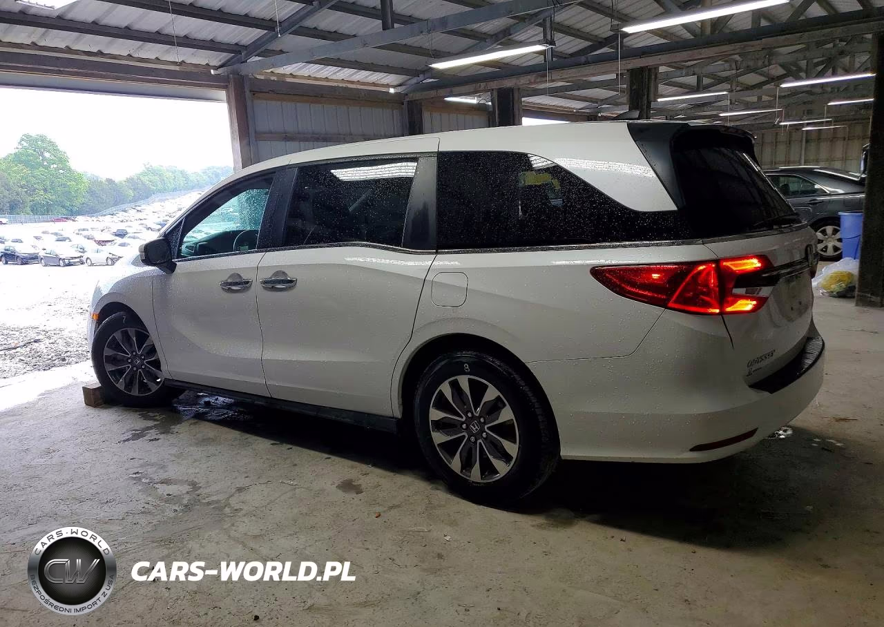 2024 Honda Odyssey Exl VIN:5FNRL6H69RB022202 - 2