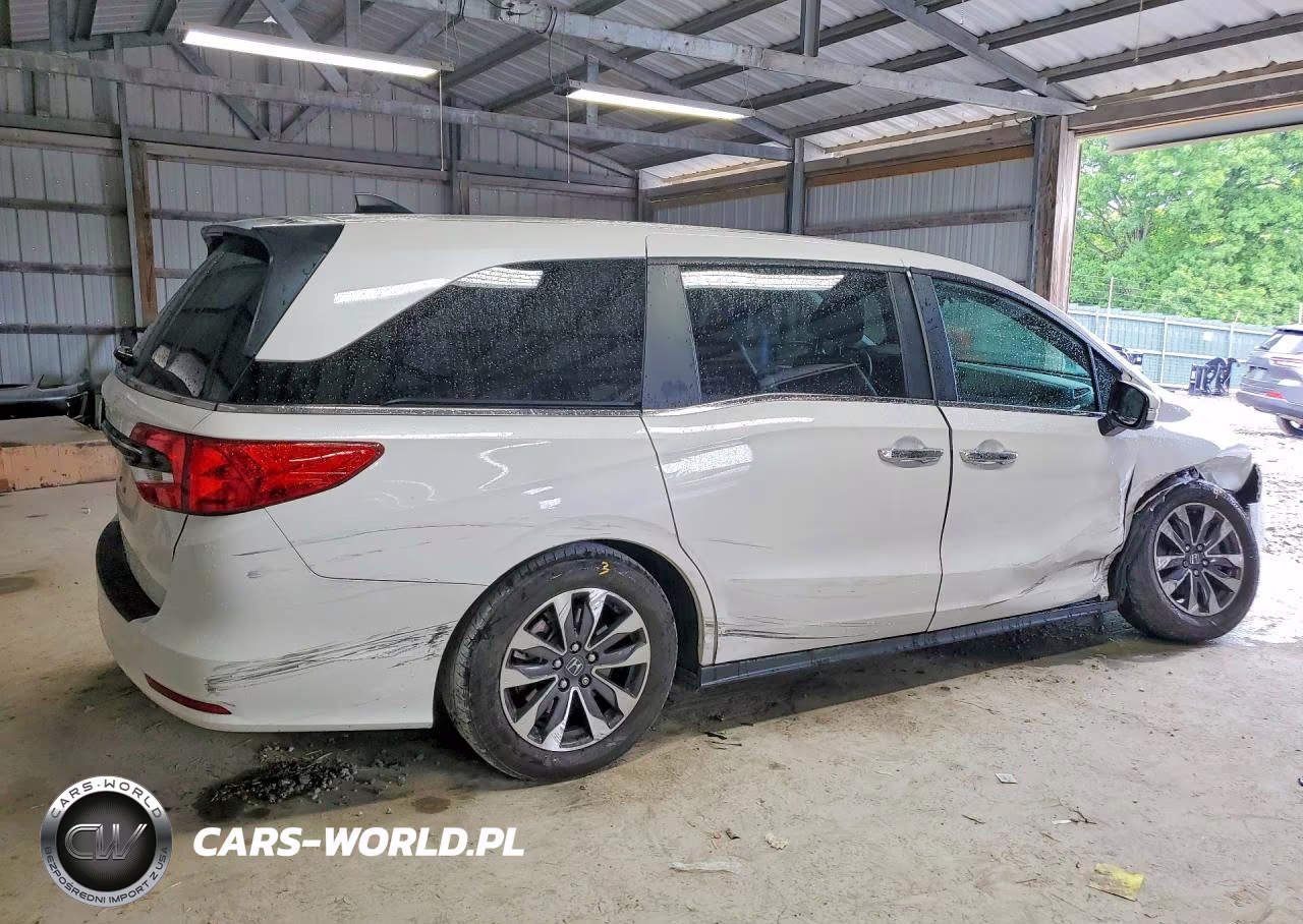 2024 Honda Odyssey Exl VIN:5FNRL6H69RB022202 - 3