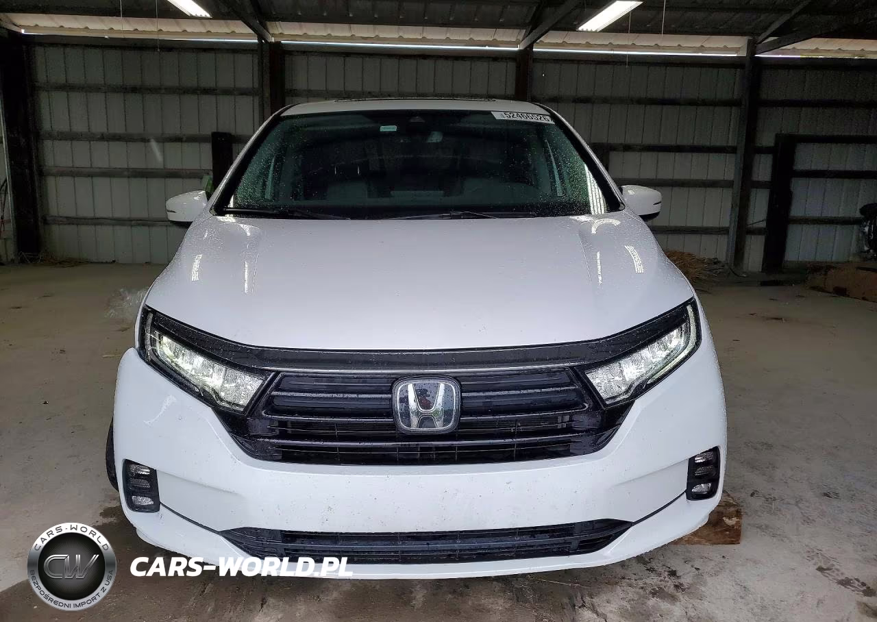 2024 Honda Odyssey Exl VIN:5FNRL6H69RB022202 - 5