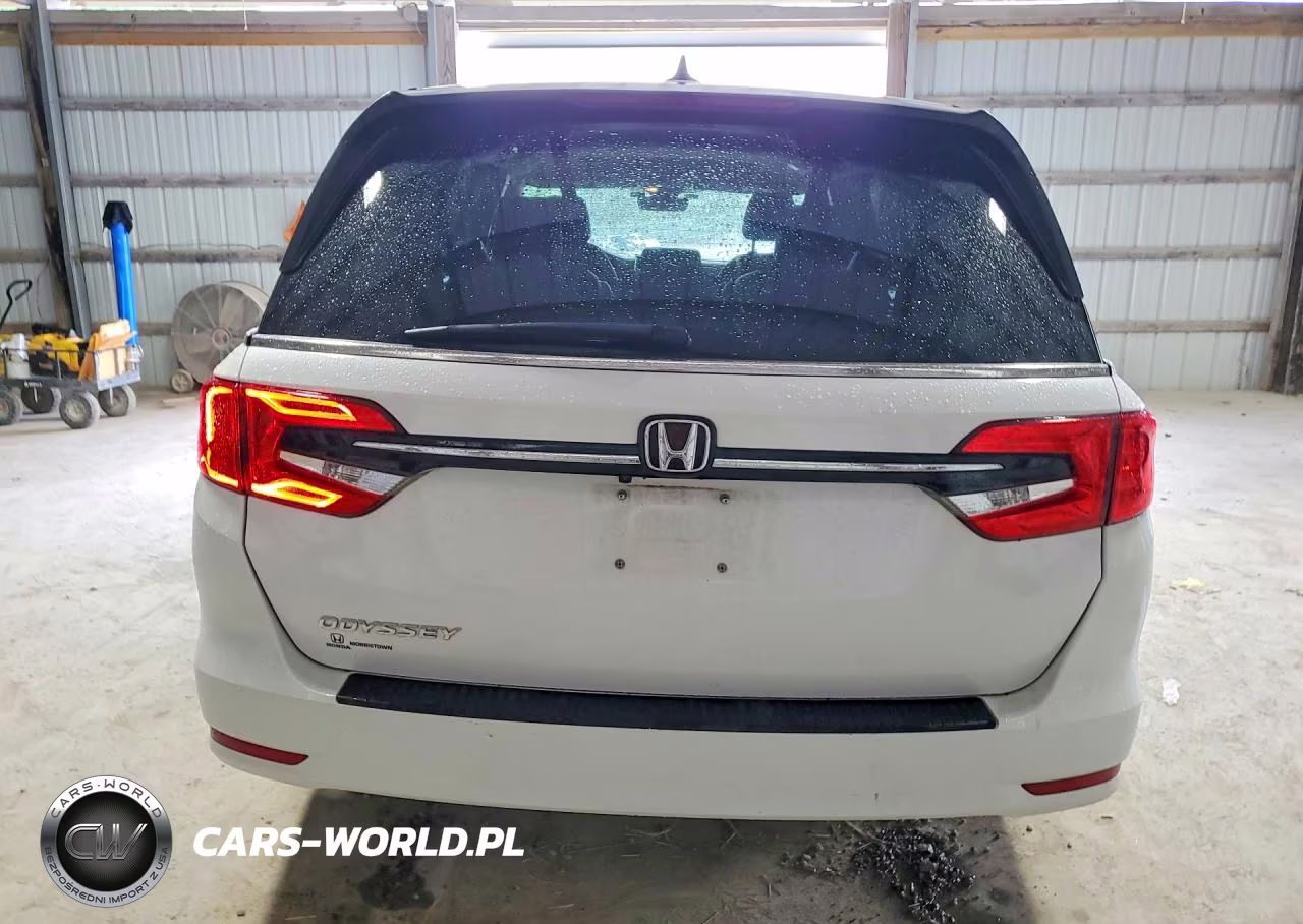 2024 Honda Odyssey Exl VIN:5FNRL6H69RB022202 - 6