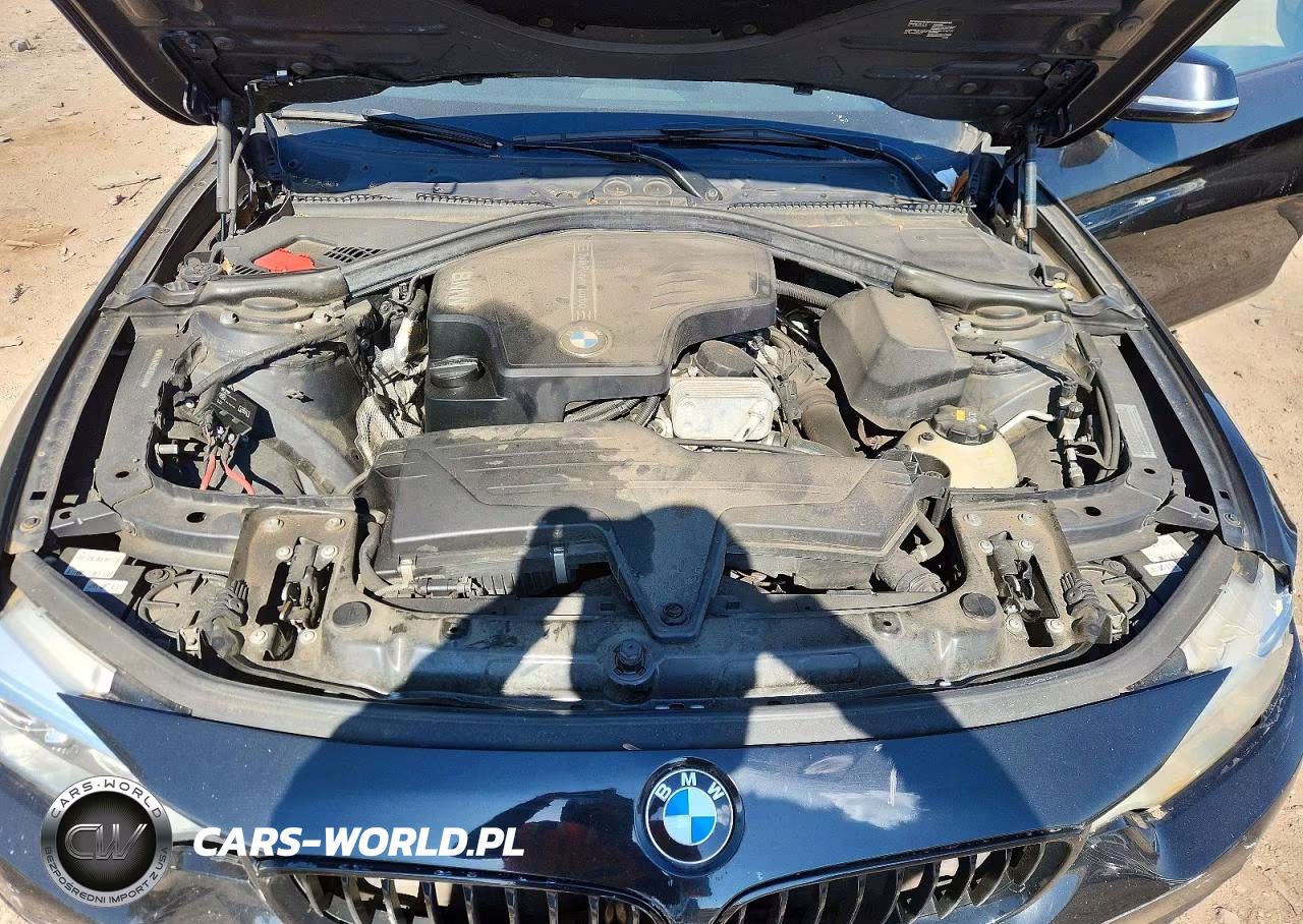 2015 BMW 428 I VIN:WBA3N7C50FK222448 - 11