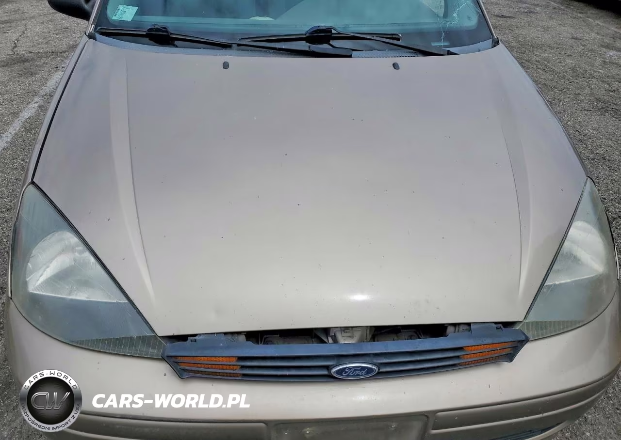 2003 Ford Focus Lx VIN:1FAFP33Z63W329438 - 11