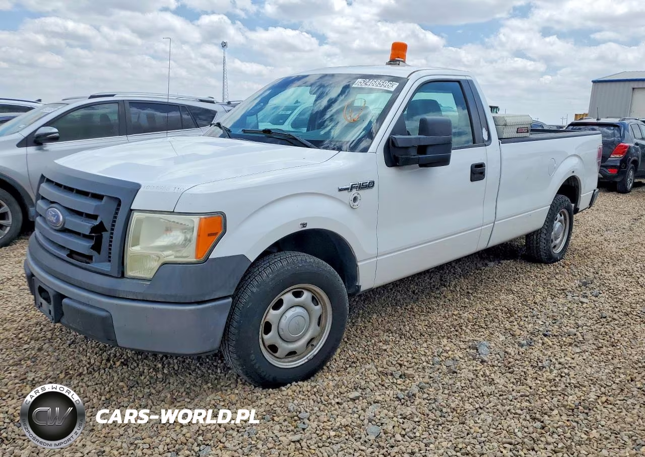 2010 Ford F150