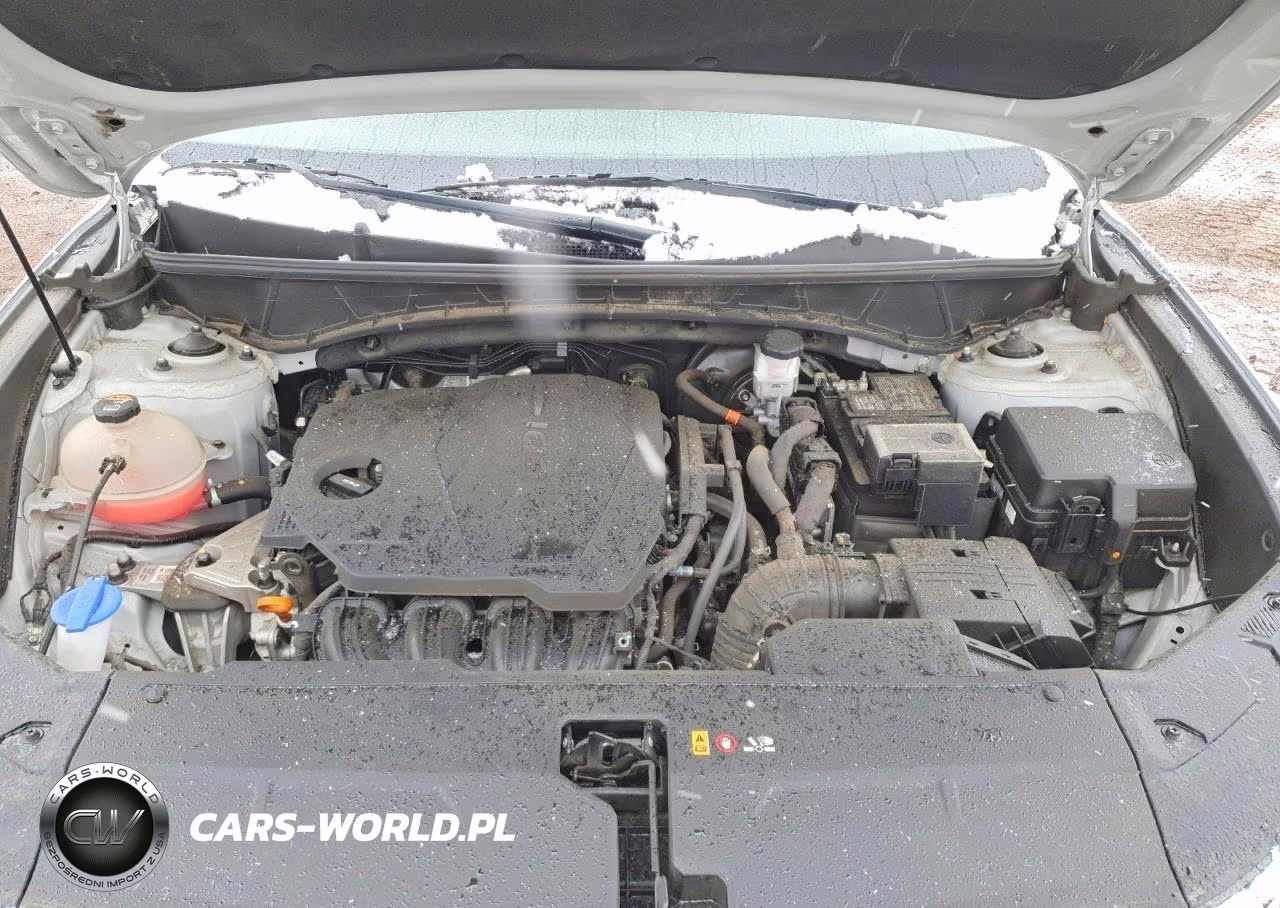 2023 Hyundai Tucson Sel VIN:5NMJBCAE6PH217492 - 11