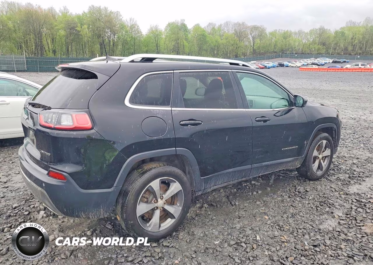 2019 Jeep Cherokee Limited VIN:1C4PJMDX8KD191236 - 3
