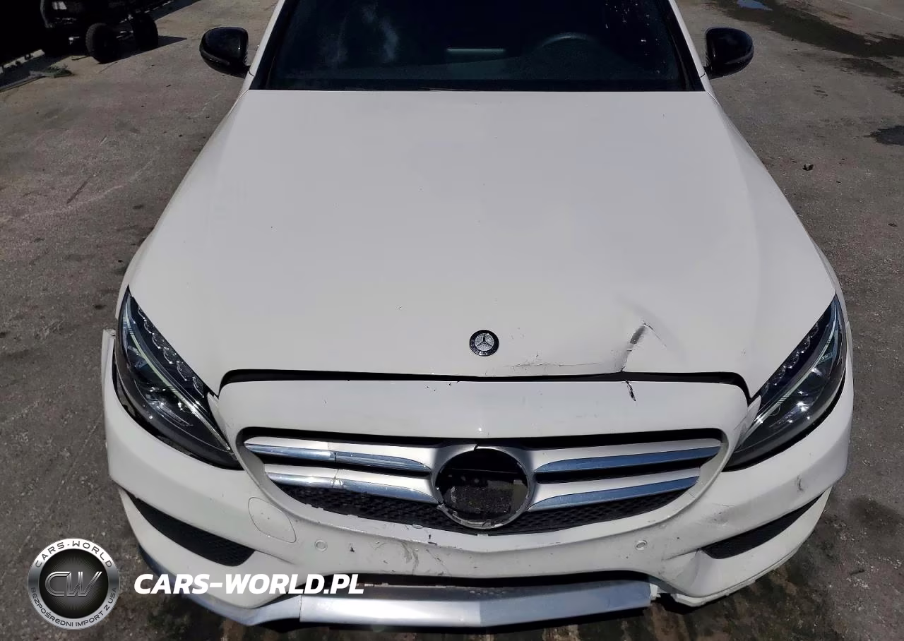 2016 Mercedes-Benz C 300 VIN:55SWF4JB1GU177053 - 11