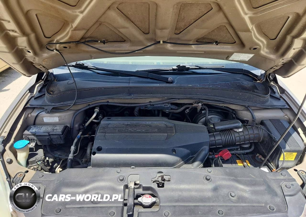 2004 Honda Pilot VIN:2HKYF18594H594961 - 12