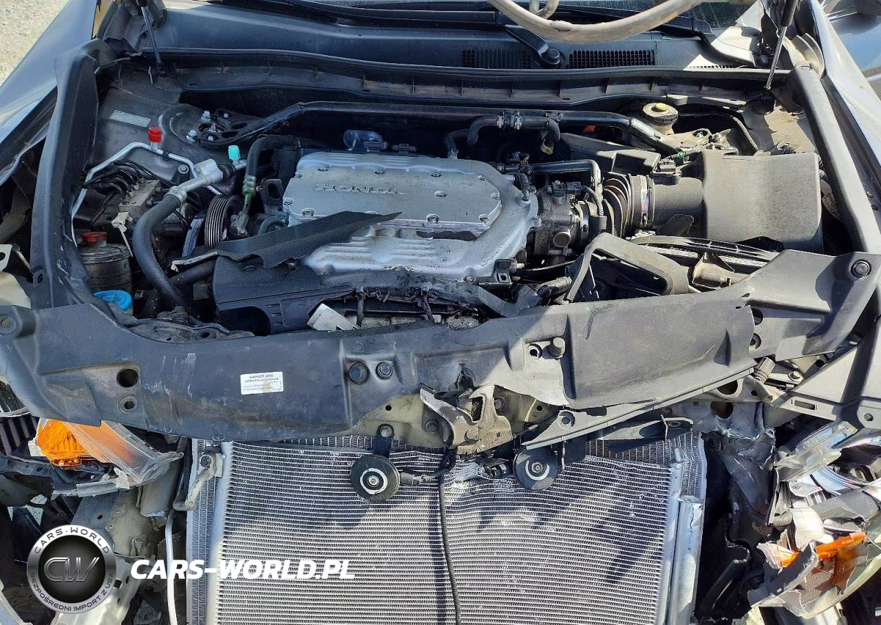 2009 Honda Accord Exl VIN:1HGCP36849A015326 - 11