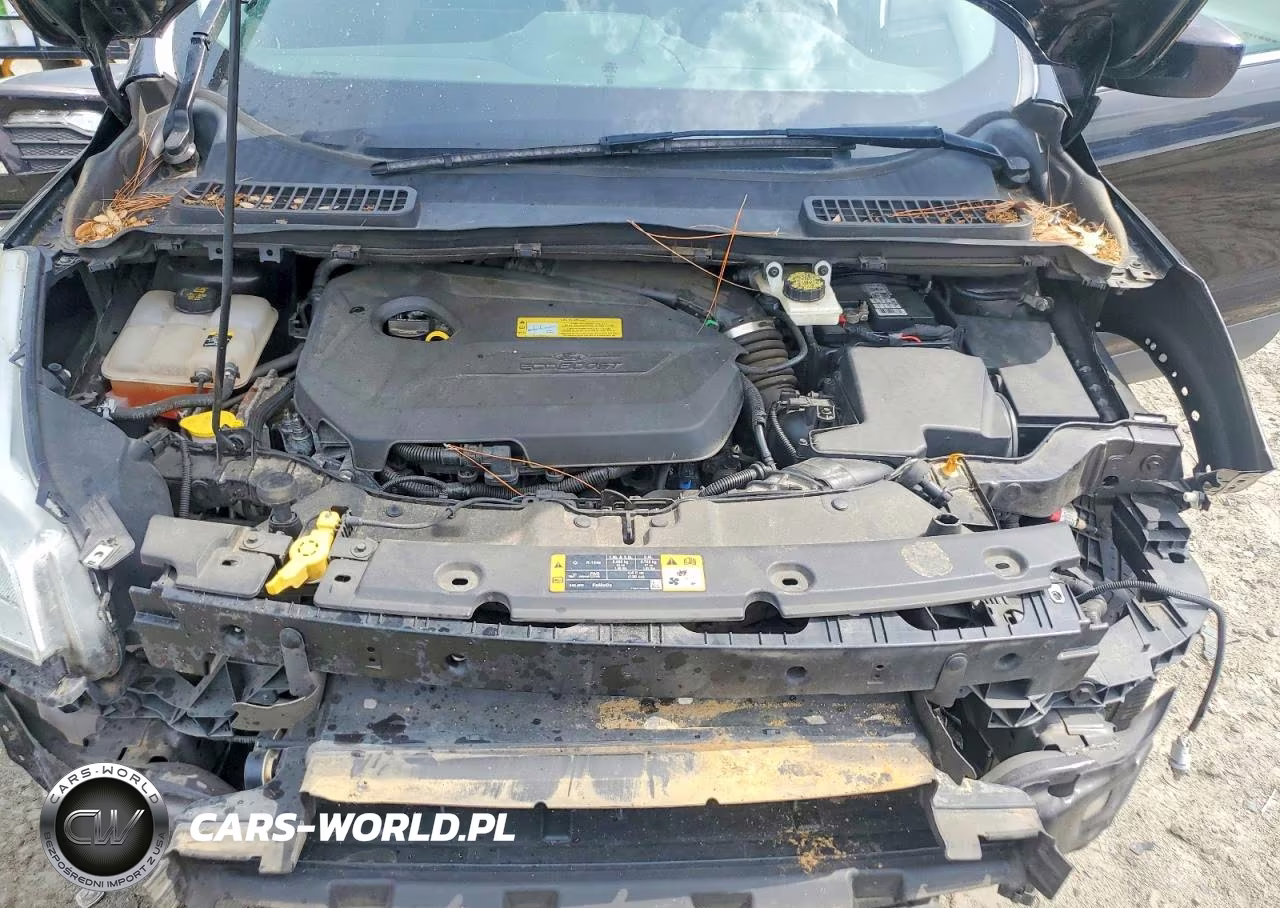 2013 Ford Escape Se VIN:1FMCU0GX3DUD36496 - 12