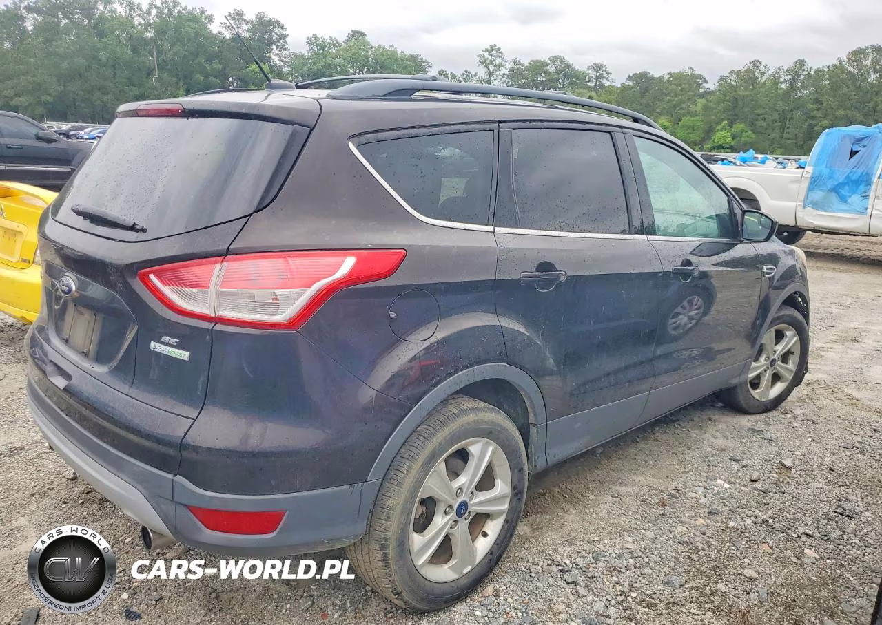 2013 Ford Escape Se VIN:1FMCU0GX3DUD36496 - 3