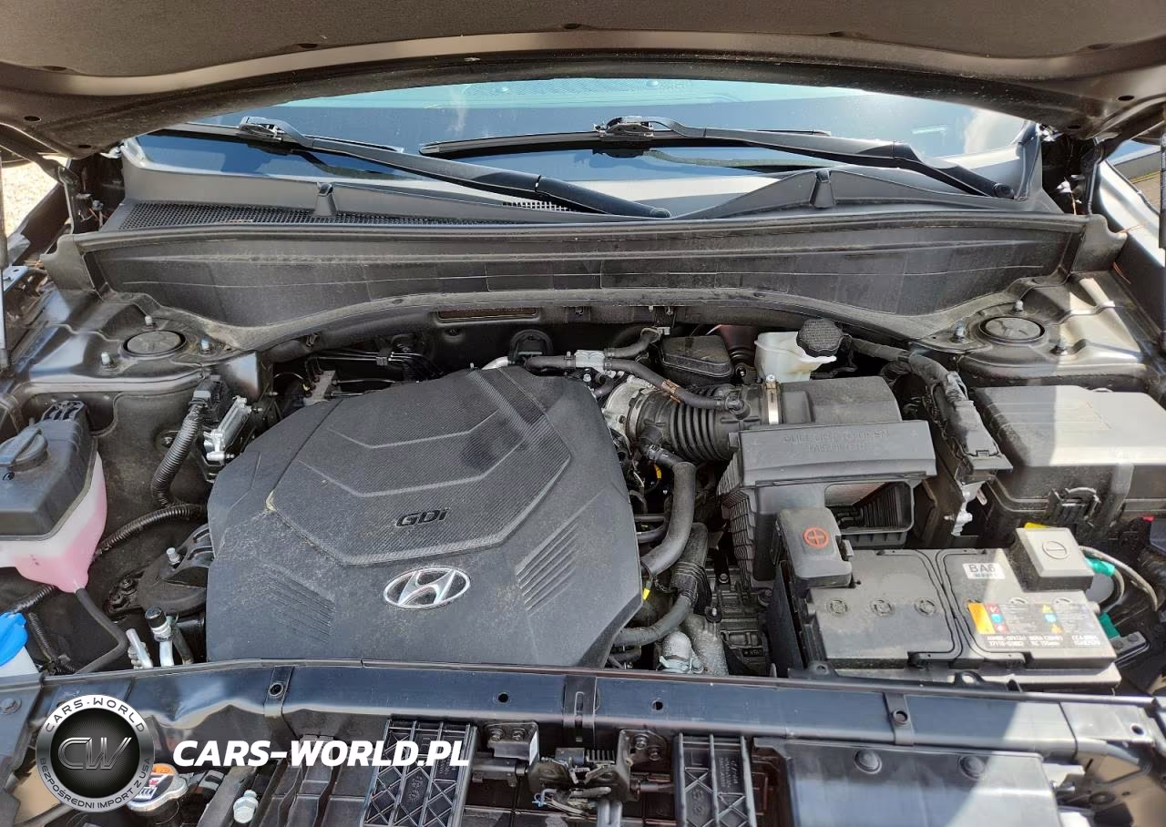2024 Hyundai Palisade Xrt VIN:KM8R34GE2RU790331 - 12