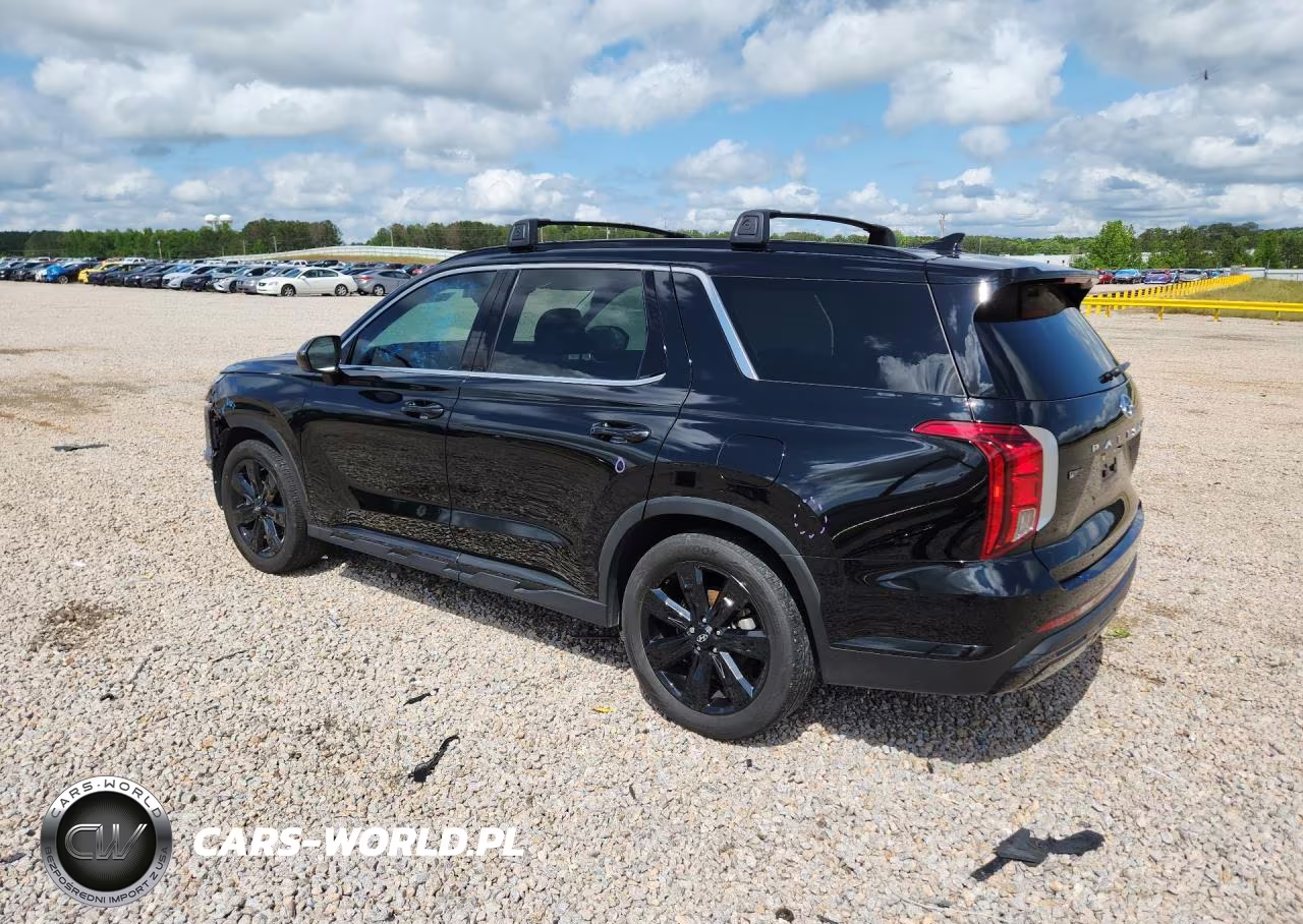 2024 Hyundai Palisade Xrt VIN:KM8R34GE2RU790331 - 2