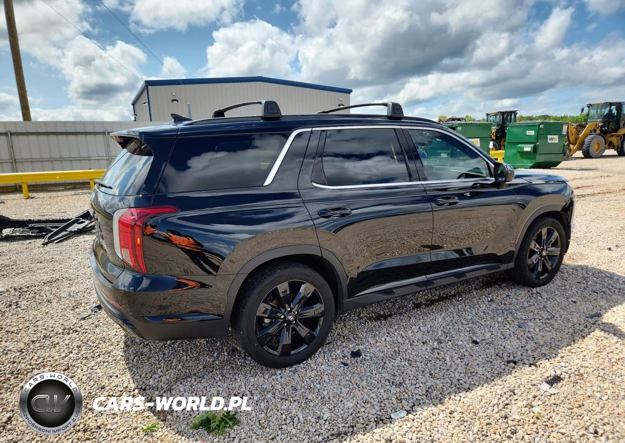 2024 Hyundai Palisade Xrt VIN:KM8R34GE2RU790331 - 3