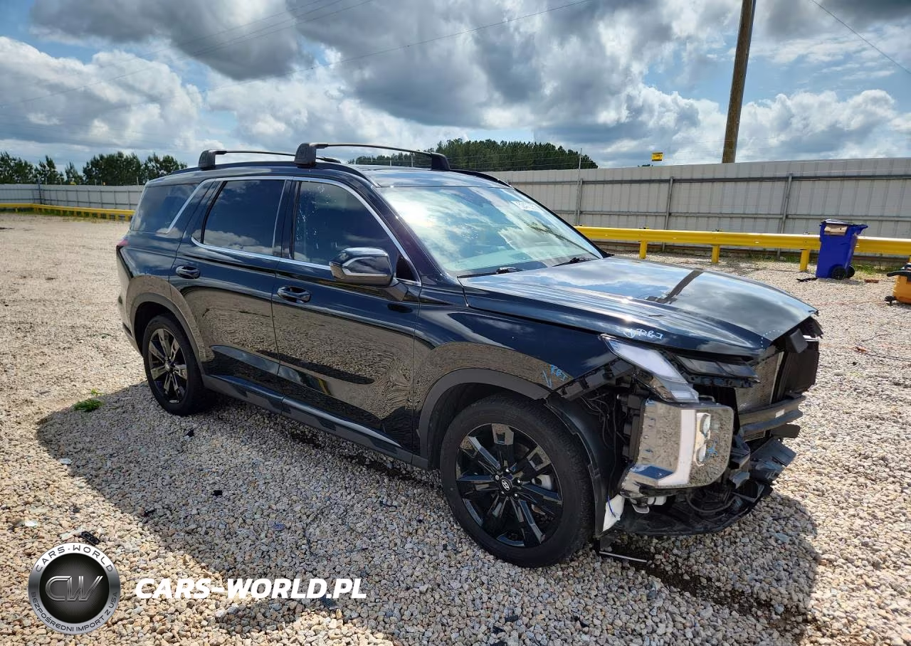 2024 Hyundai Palisade Xrt VIN:KM8R34GE2RU790331 - 4