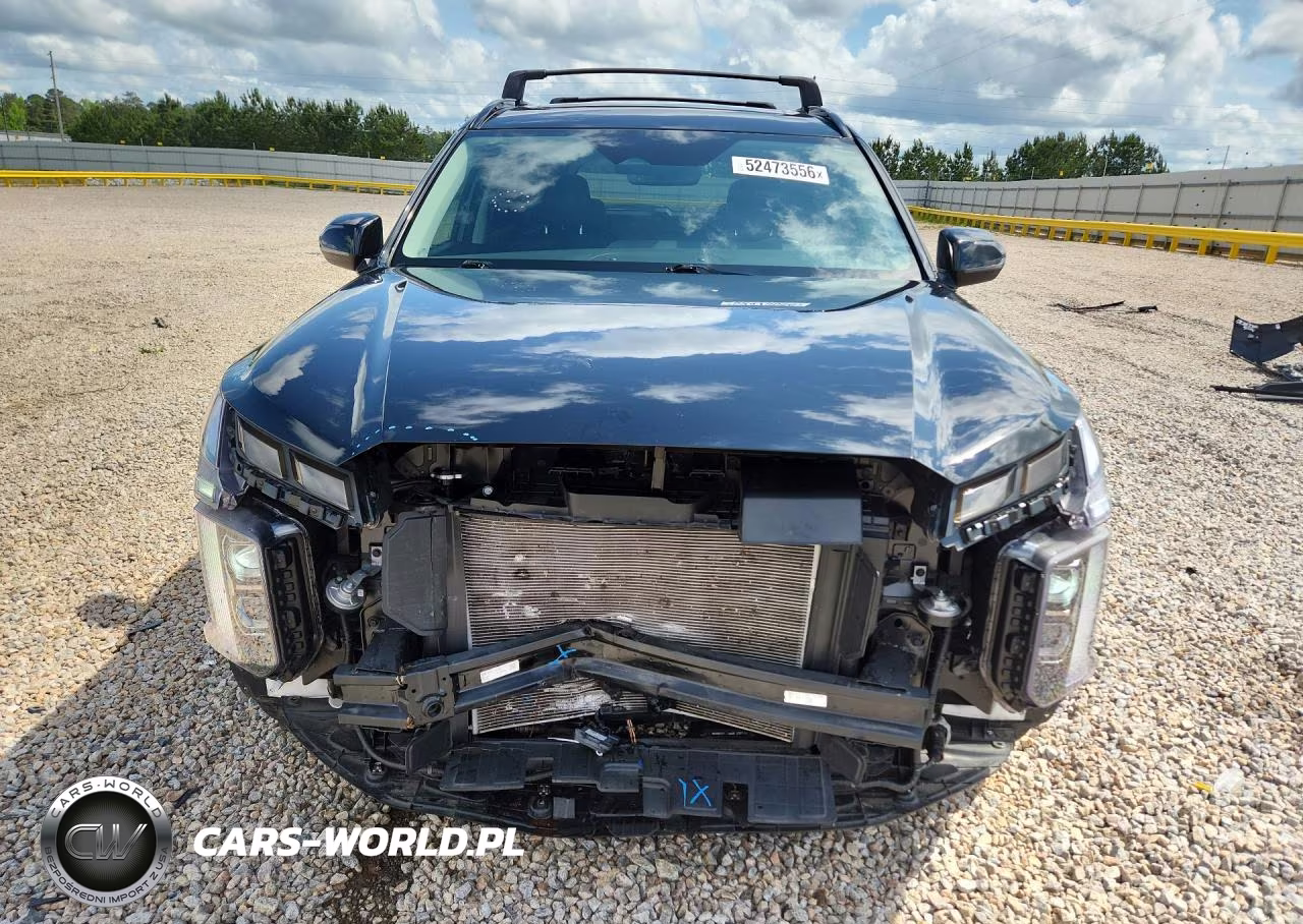 2024 Hyundai Palisade Xrt VIN:KM8R34GE2RU790331 - 5