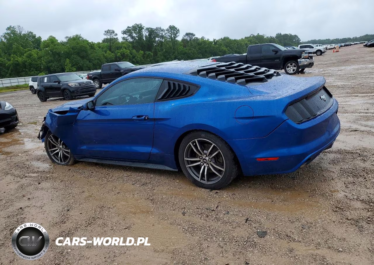 2017 Ford Mustang VIN:1FA6P8TH4H5249007 - 2