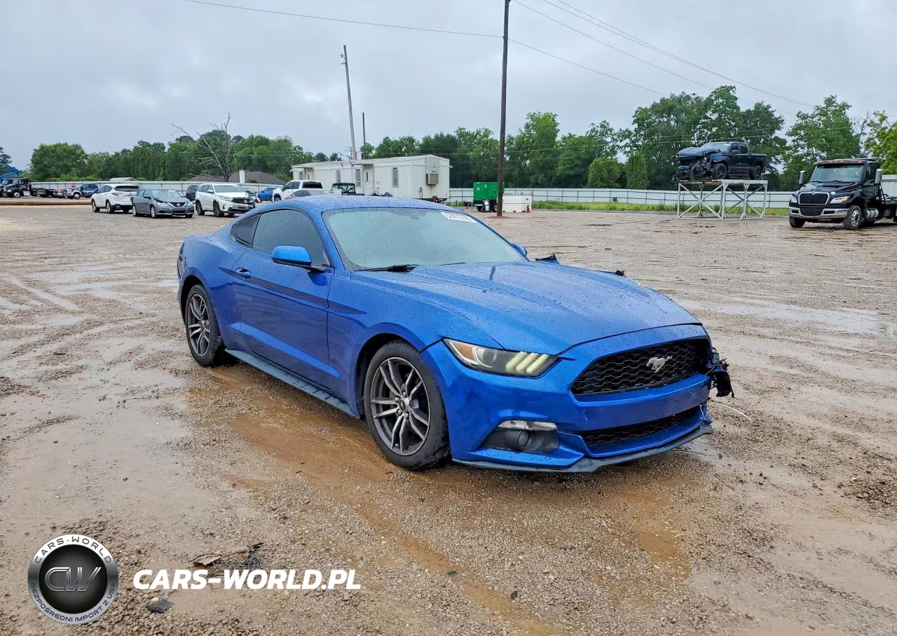 2017 Ford Mustang VIN:1FA6P8TH4H5249007 - 4