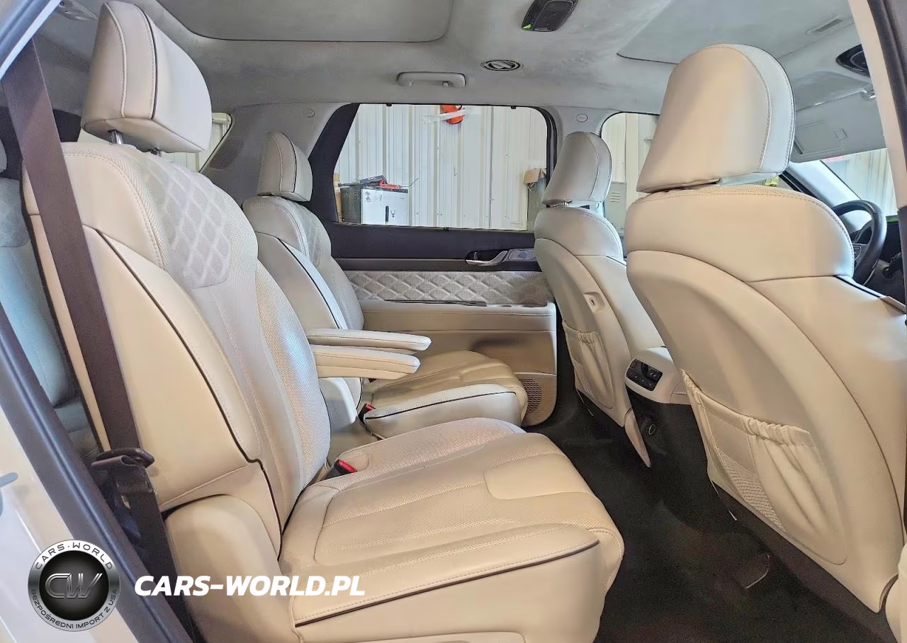 2020 Hyundai Palisade Limited VIN:KM8R5DHE7LU167514 - 10