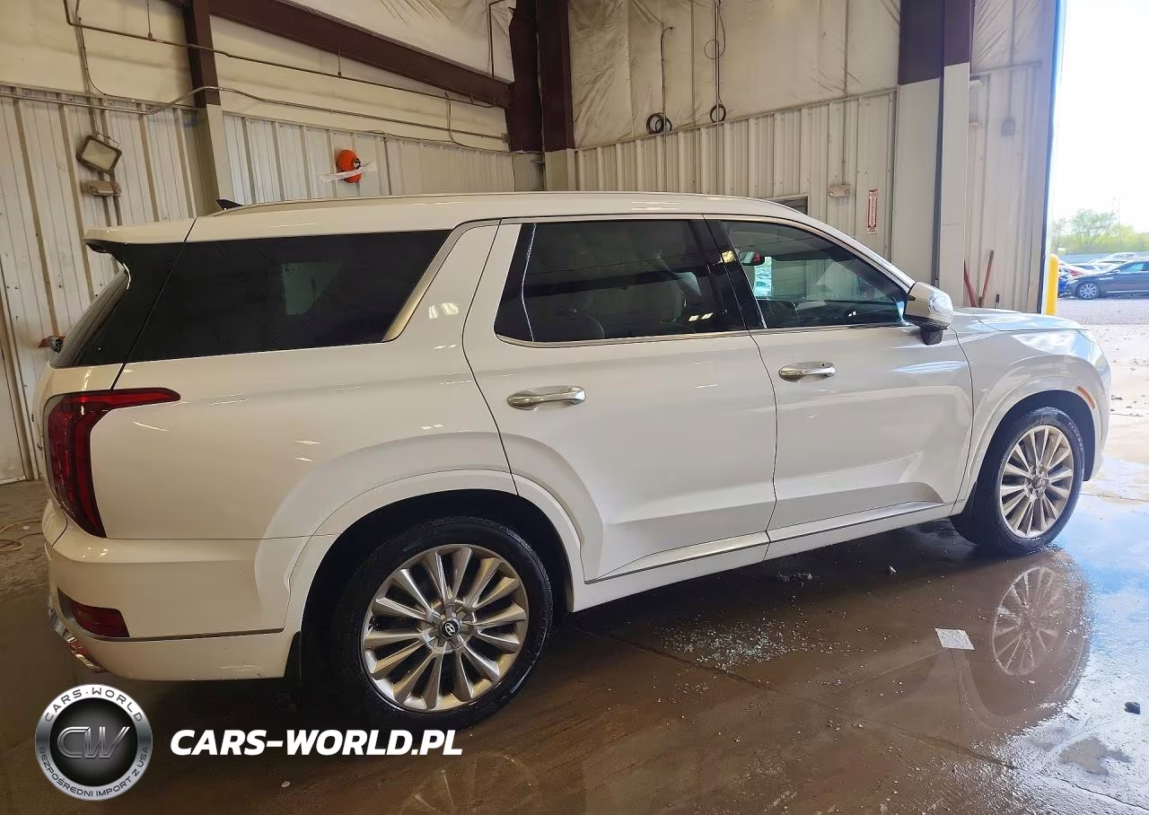 2020 Hyundai Palisade Limited VIN:KM8R5DHE7LU167514 - 3