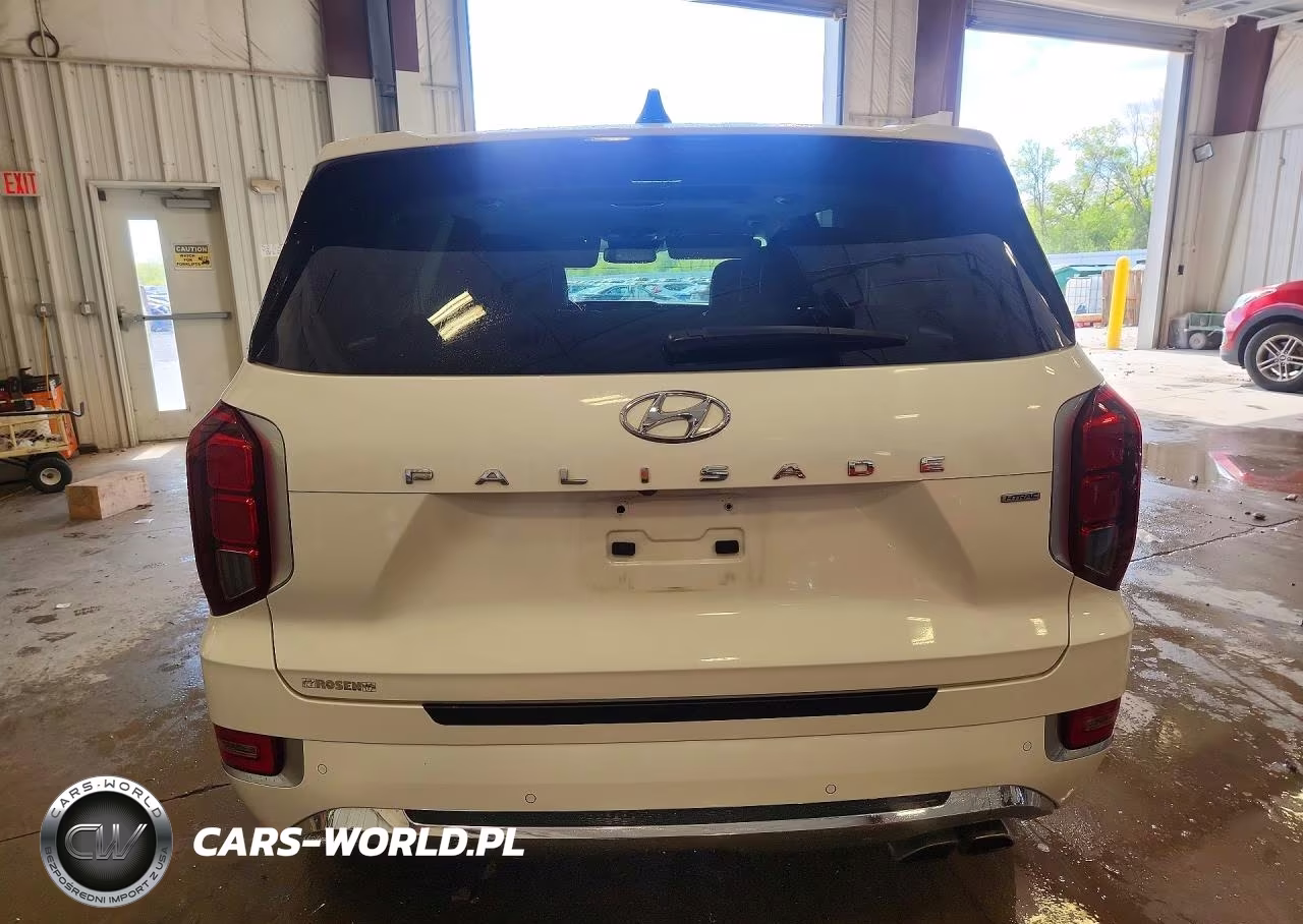 2020 Hyundai Palisade Limited VIN:KM8R5DHE7LU167514 - 6